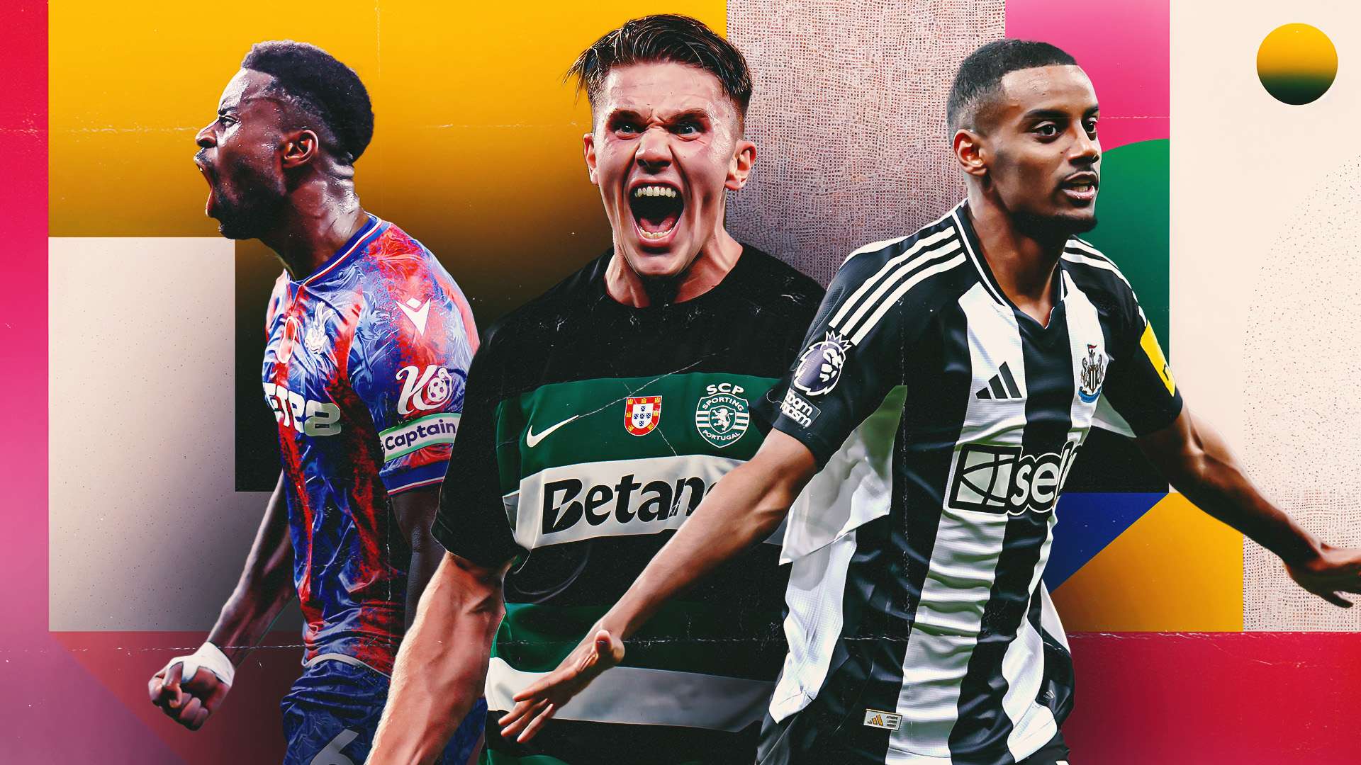 成年国家队 成年国家队